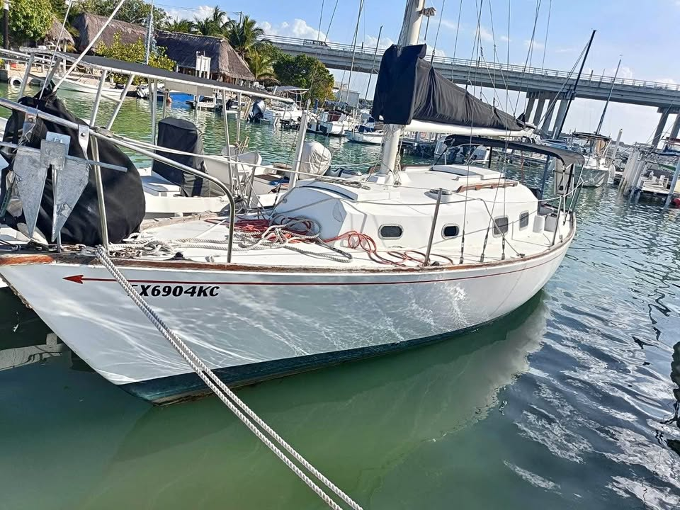 Bristol 30