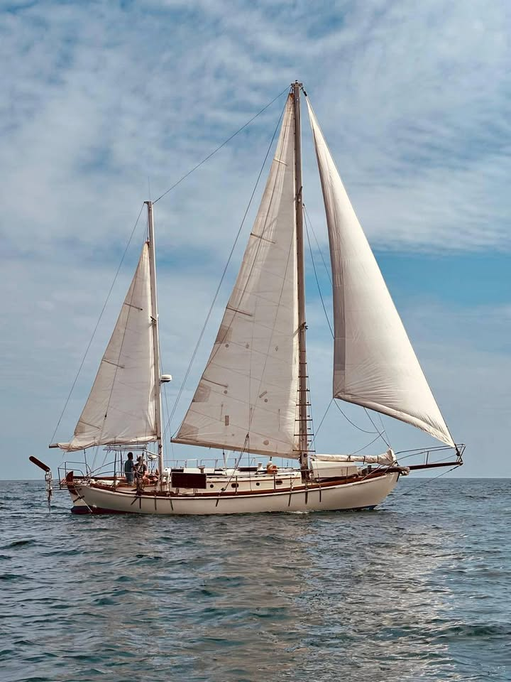 Ingrid 38